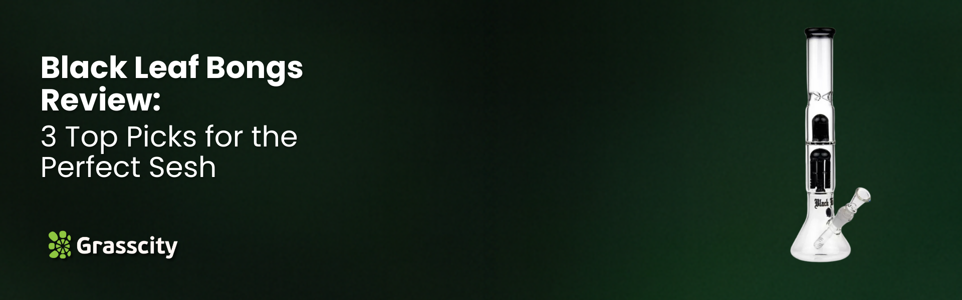 Black Leaf Bongs Review: 3 Top Picks for the Perfect Sesh