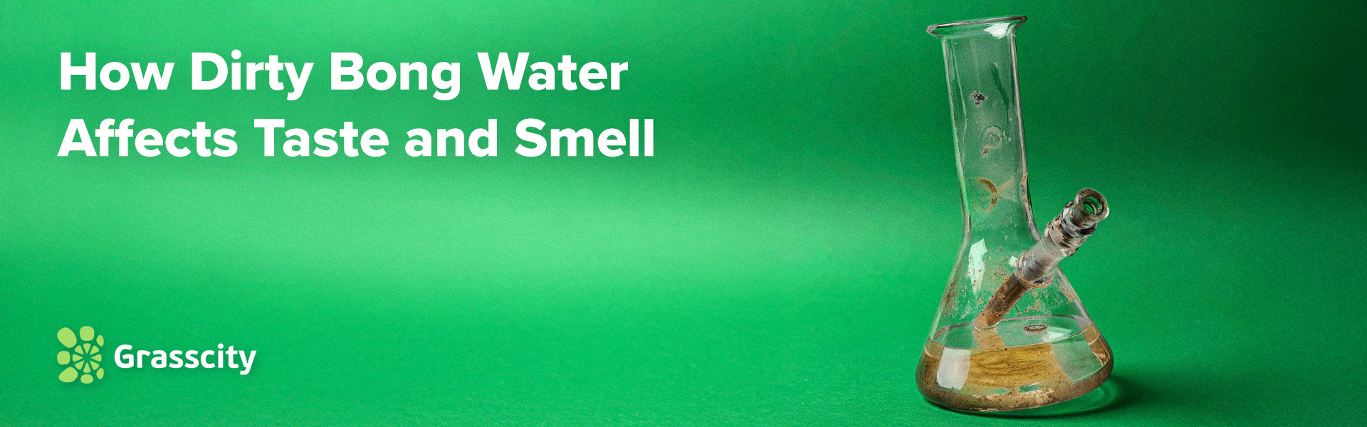 Dirty Bong Water Affects