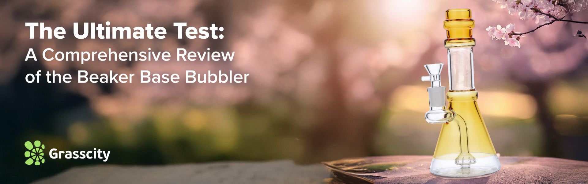 Beaker Base Bubbler