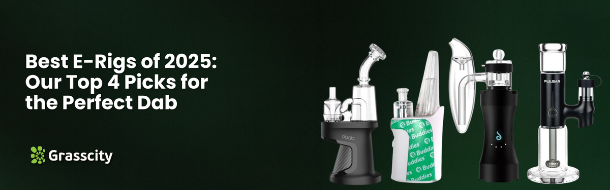 Best E-Rigs of 2026: Our Top 4 Picks for the Perfect Dab  Grasscity
