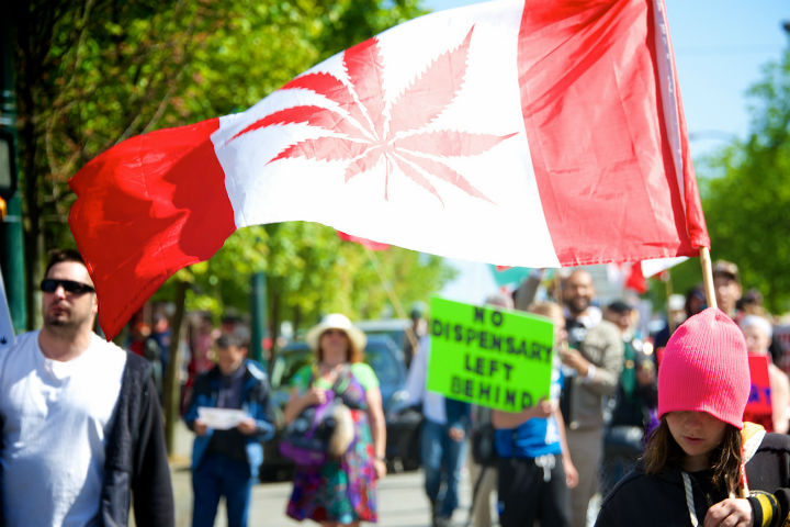 Happy Legalization Canada! Part 1 – Grasscity USA