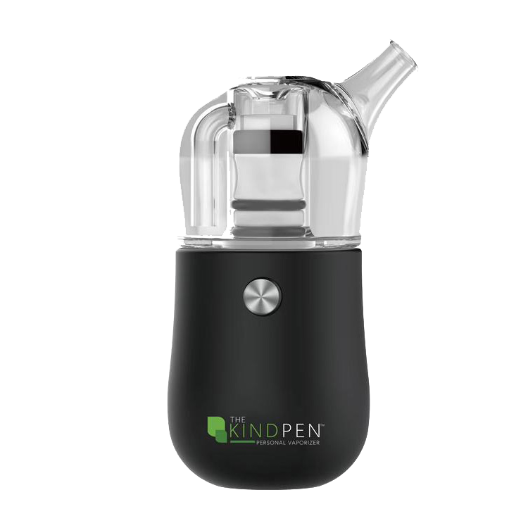 Pen Rig The Kind Pen Dabster Mini Concentrate E-Rig – Grasscity USA