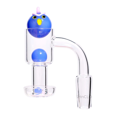 GC Angry Bird Terp Slurper Banger Set - 14mm