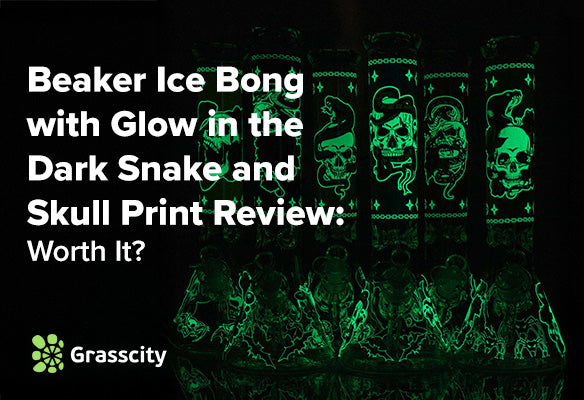Beaker Ice Bong with Glow in the Dark Snake and Skull Print Review: Worth It?
