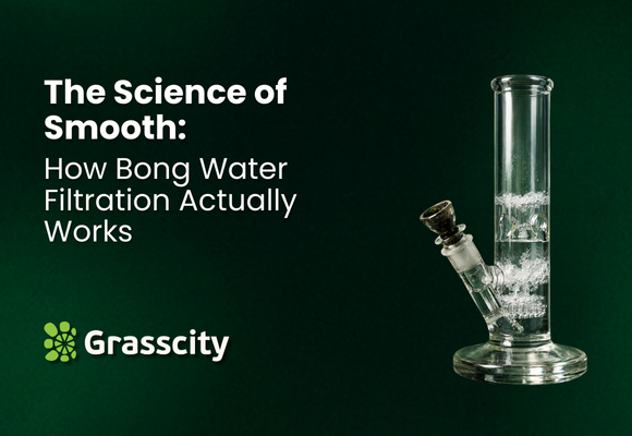 The Science of Smooth: How Bong Water Filtration Actually Works