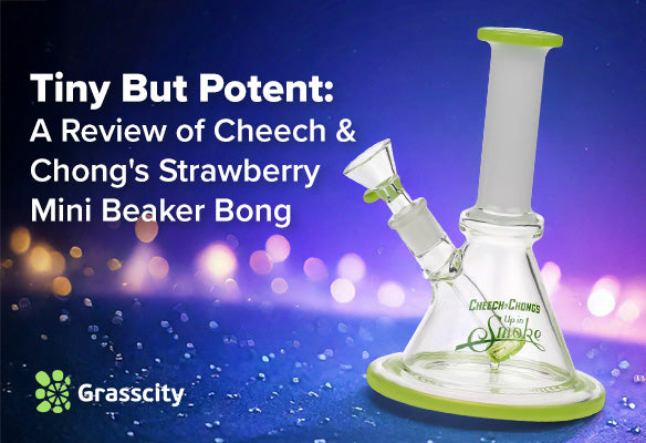 What is Cheech & Chong’s Strawberry Mini Beaker Bong?