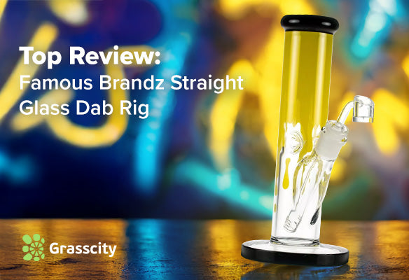 Top Review: Famous Brandz Straight Glass Dab Rig