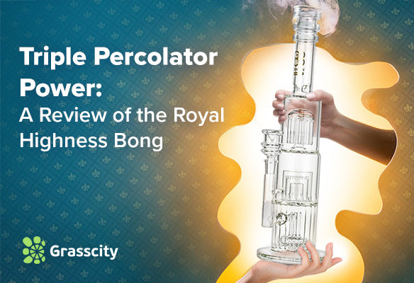 What is the Glasscity Limited Edition Royal Highness Percolator Ice Bong?