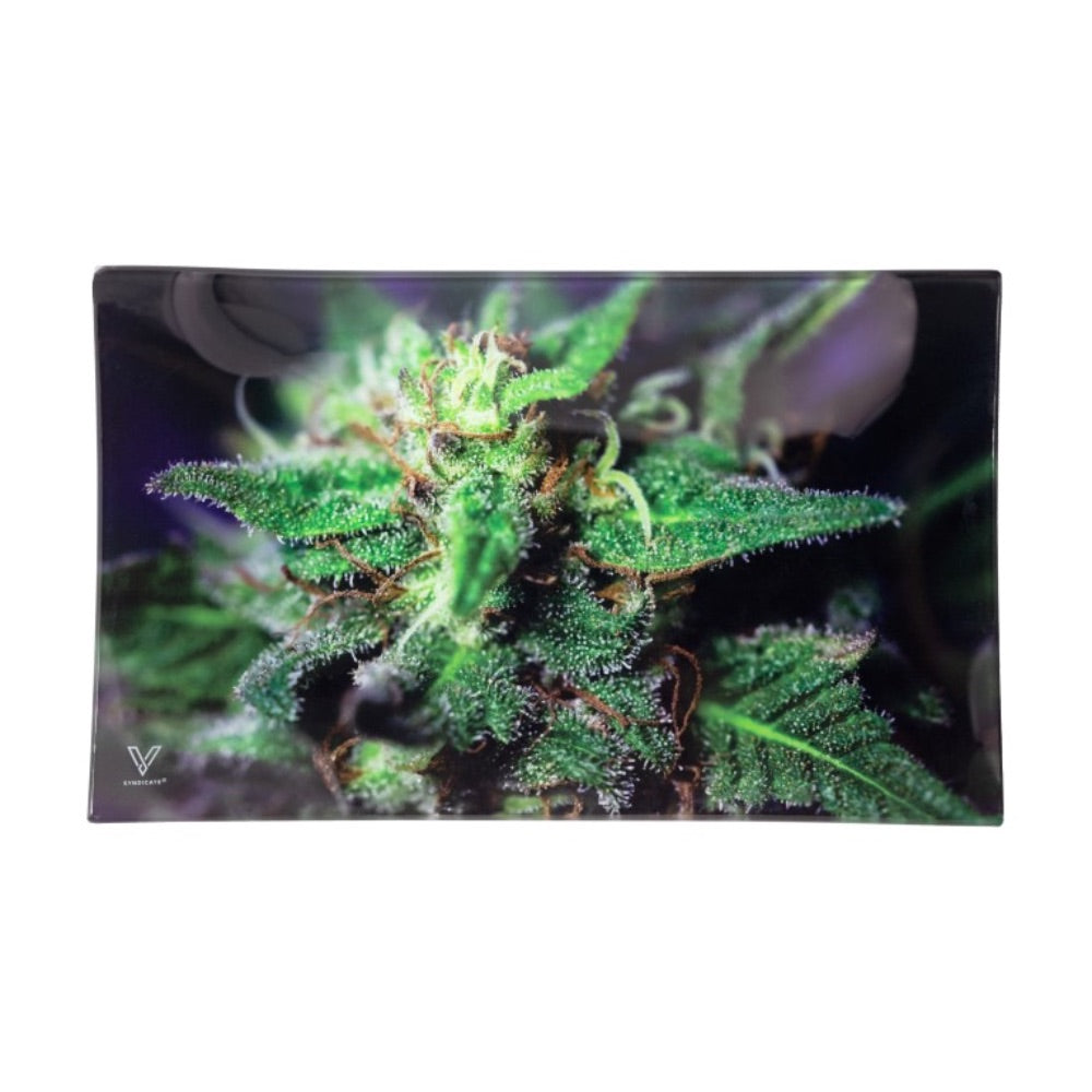 V Syndicate Large Glass Rolling Tray