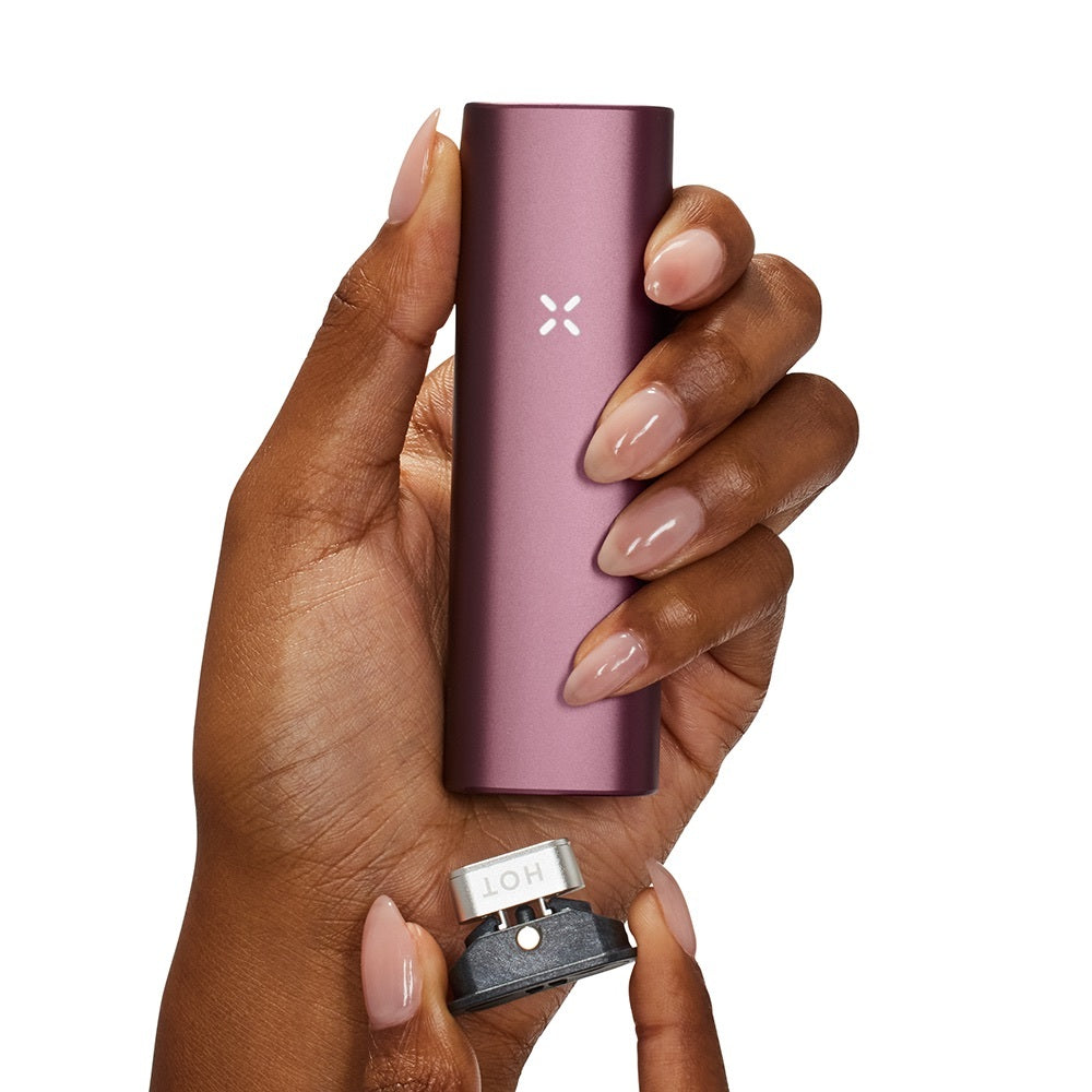 PAX Plus Dual Use Vaporizer Kit | Elderberry | in hand
