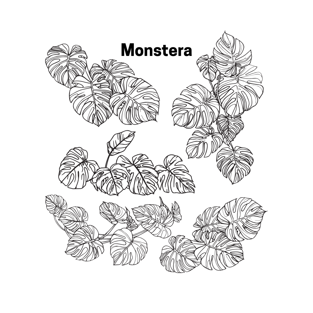 Prism Monstera Tall Beaker