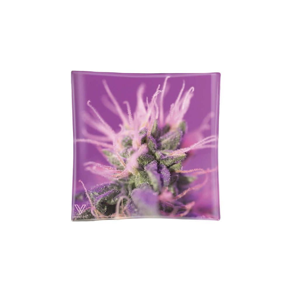 V Syndicate Blazin Glass Ashtray | Pink Lemonade