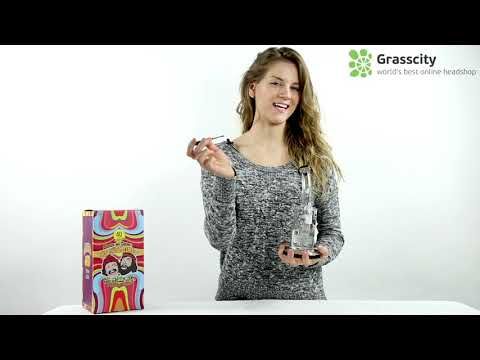 Cheech & Chong’s Big Green Van Glass Dab Rig | 10 Inch
