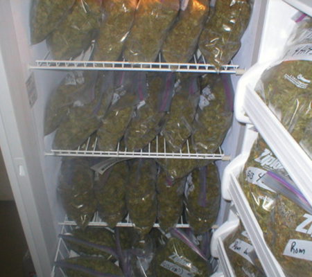 how to store the buds successfully