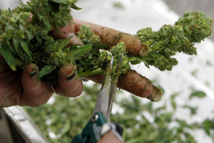 US House Votes To Reduce Cannabis Law Enforcement, Reduces DEA Budget