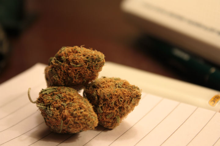 7 Ways To Know You've Got Really Dank Bud