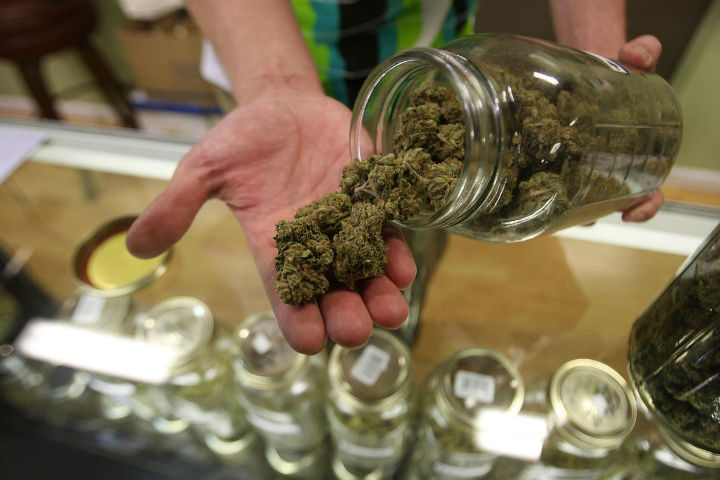 5 Things You Must Know To Become A Budtender