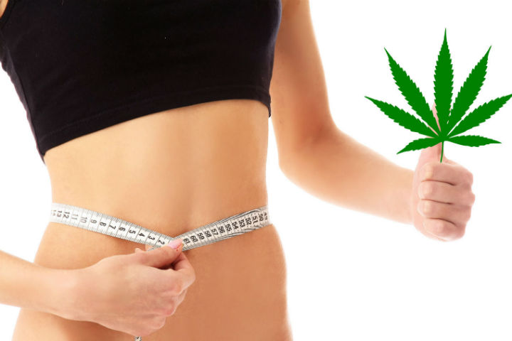 Lose Weight Now On The Cannabis Diet!