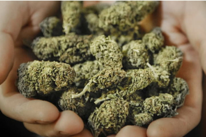 5 Reasons It's Super Dank To Be A Stoner Sage