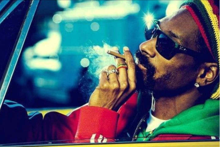 World's Ten Most Successful Stoners