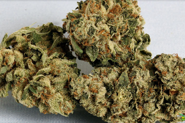 OG Kush Or Girl Scout Cookie? What Your Favorite Strain Says About You