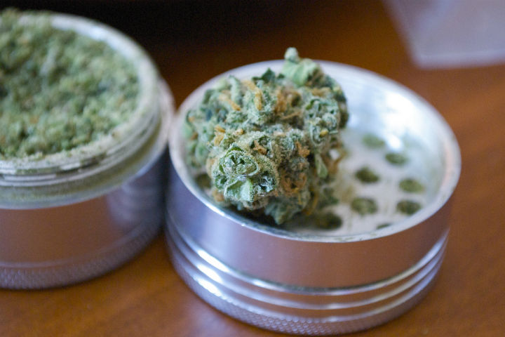 5 Tips for Beginners on How to Use an Herb Grinder