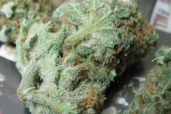 New Strain "Sexxpot" Will Set Your Love Life On Fire