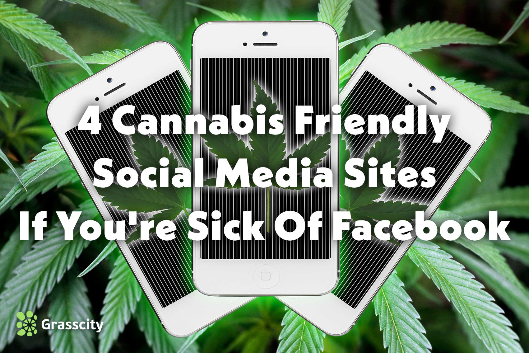 Cannabis Friendly Social Media Sites 