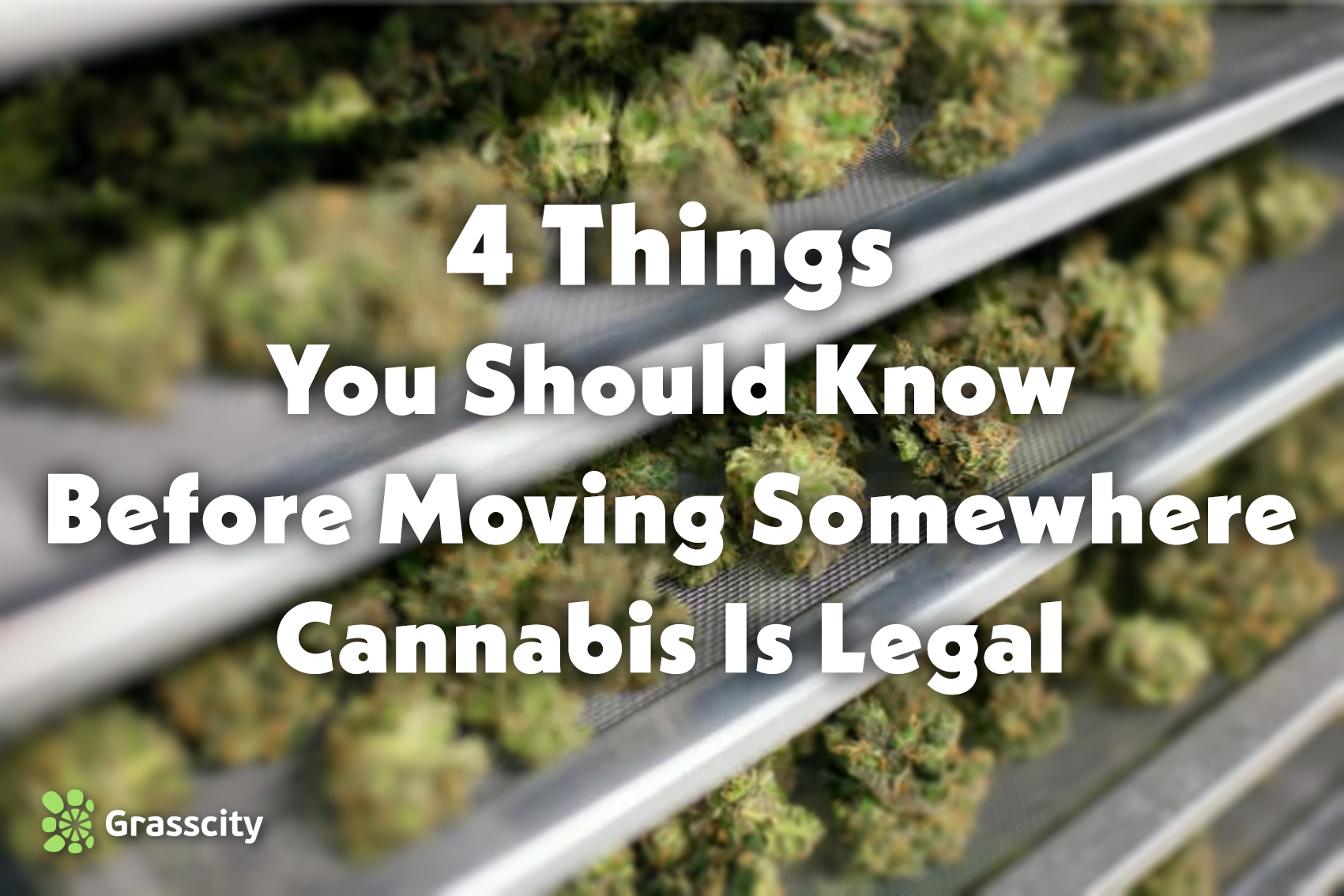 Things You Should Know Before Moving Somewhere Cannabis Is Legal
