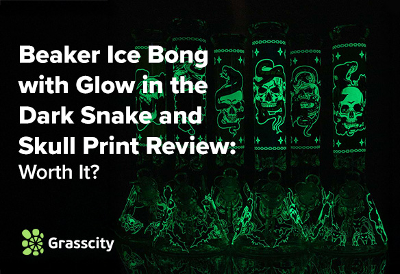 Beaker Ice Bong