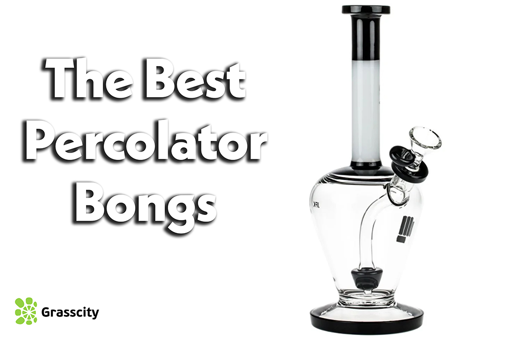 The Best Percolator Bongs