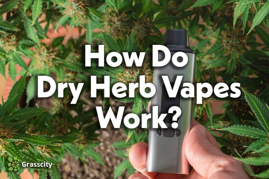 How do Dry Herb Vapes Work?