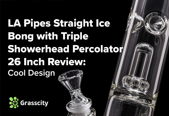 LA Pipes Straight Ice Bong with Triple Showerhead Percolator 