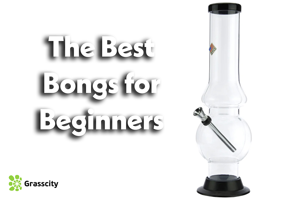 The best bongs for beginners