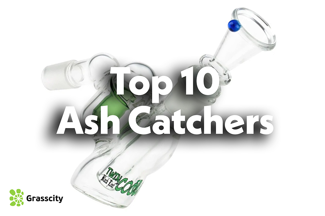 Top 10 Ash Catchers