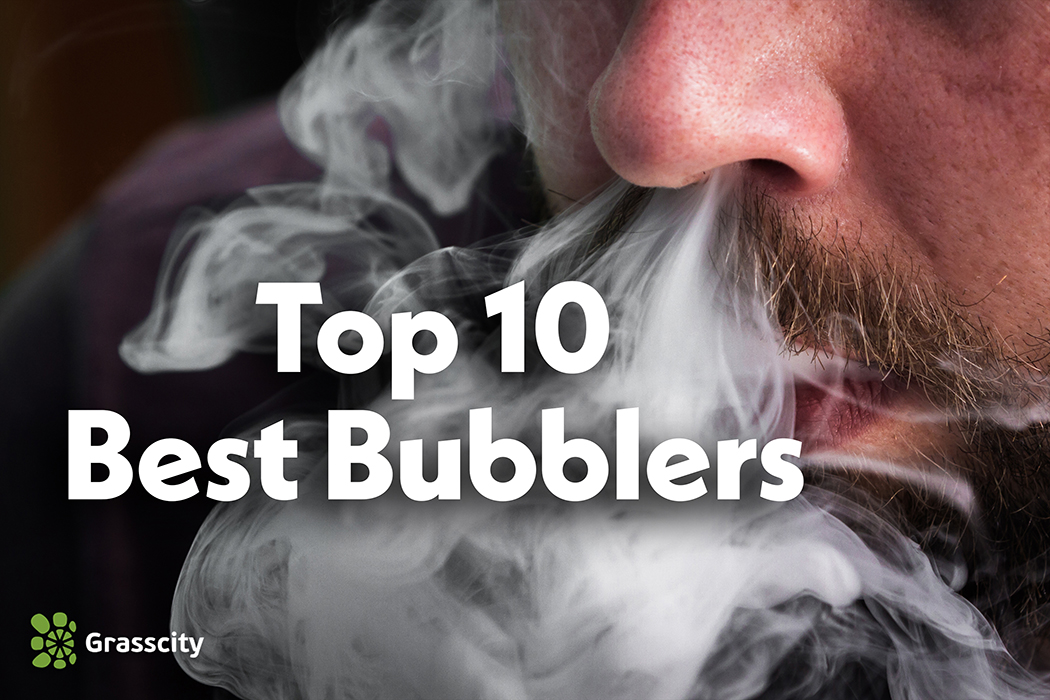 Top 10 Best Bubblers