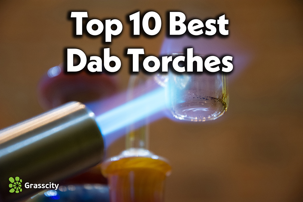Top 10 Best Dab Torches