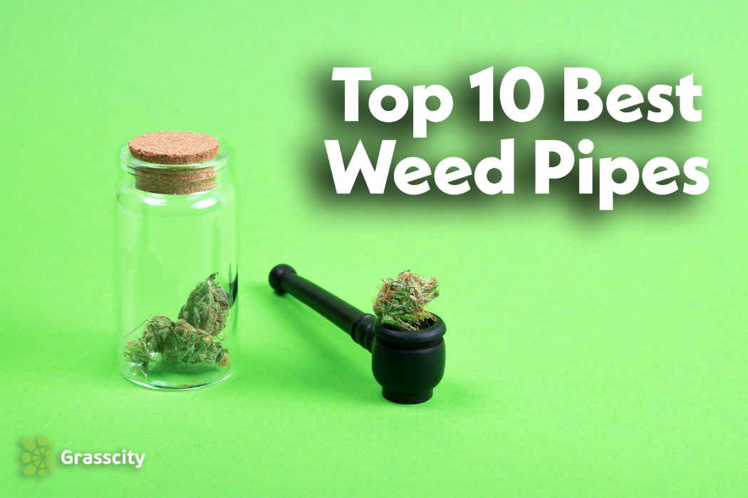 Top 10 best weed pipes