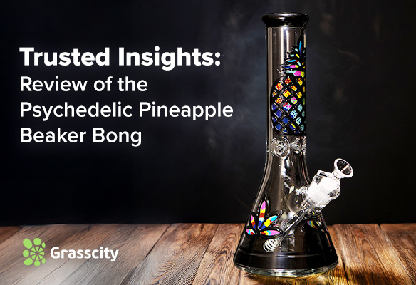 Psychedelic Pineapple Beaker Bong