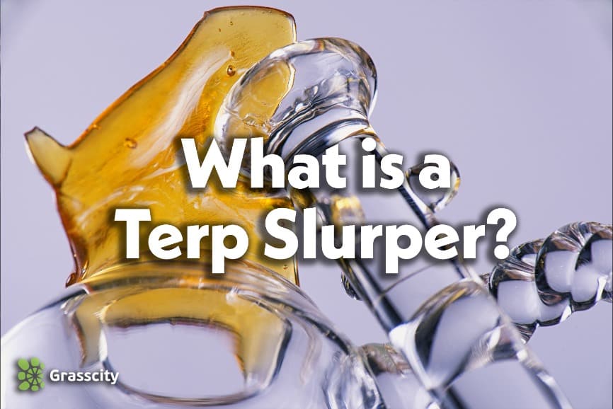 How to Use a Terp Slurper | Grasscity